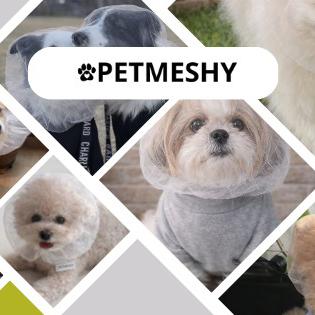 Grupo de pet whatsapp