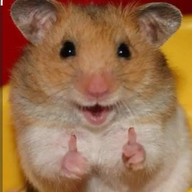 Grupo de WhatsApp animais