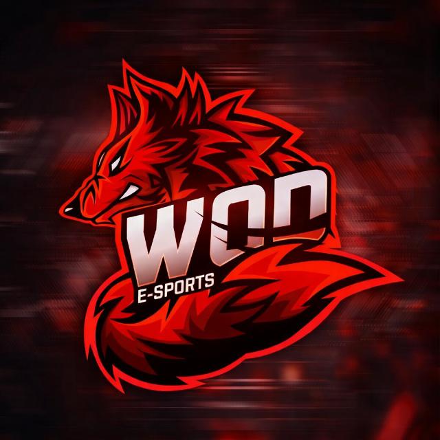 WOD E-SPORTS