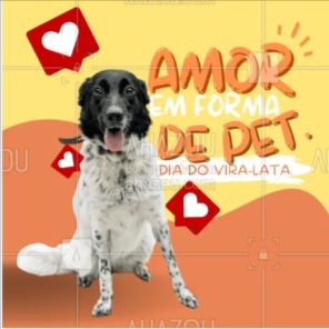 Grupo whatsapp pet MG