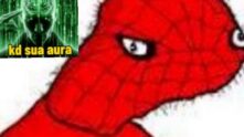 Spider friends