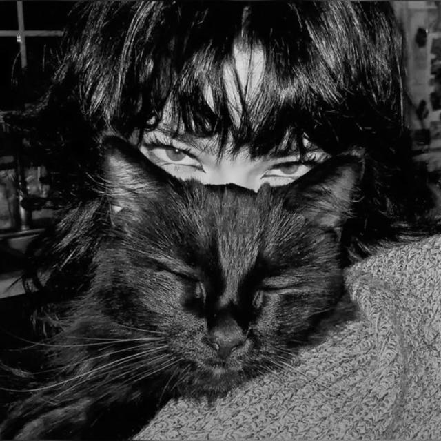 Fãs de gatos pretos