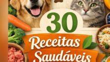 Grupo Pet 2026