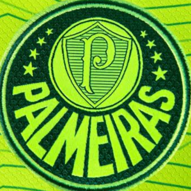 Grupo do Palmeiras