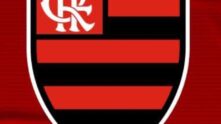 Grupo do flamengo na libertadores