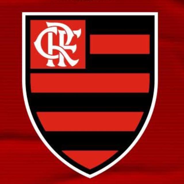 Grupo do flamengo na libertadores