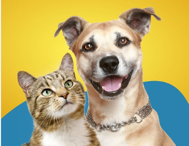 Grupo para Pets WhatsApp