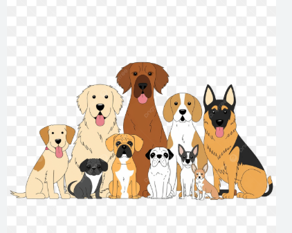 Grupo de animais whatsapp