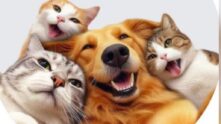 Grupo de Pet WhatsApp