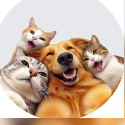 Grupo de Pet WhatsApp