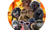 Grupo Resenha de amizades