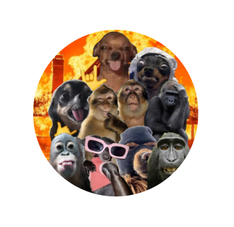 Grupo Resenha de amizades